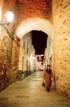 Olivena: voltando a casa /  returning home